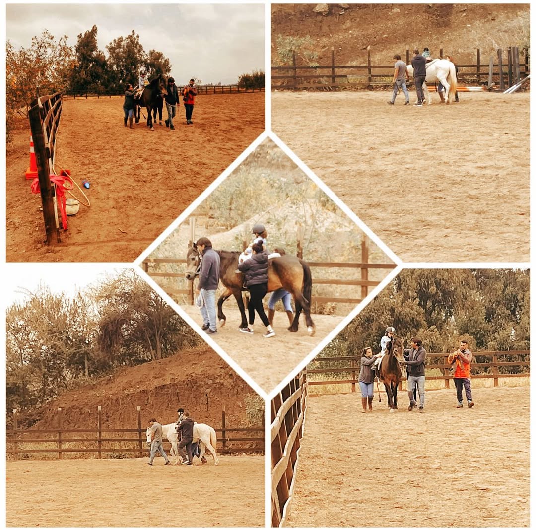 Collage de imágenes que muestran sesiones prácticas de equinoterapia y estimulación con niños en las nuevas instalaciones de la Fundación en Fundo Talanquén, Colina, durante noviembre de 2023.