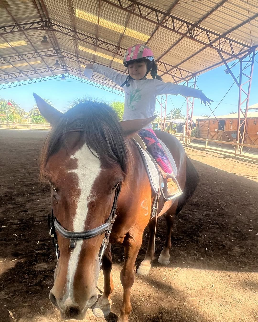 Persona realizando trabajo pie a tierra con un caballo en el picadero de Equicentro Maule durante febrero de 2023.