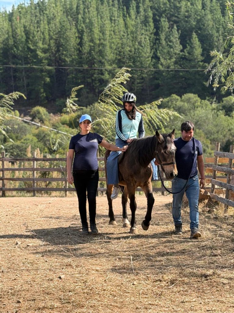 Un niño sonriendo mientras acaricia la frente de un caballo de terapia en la pista de Fundación Equicentro, con voluntarios apoyando a los costados bajo el sol del Maule.