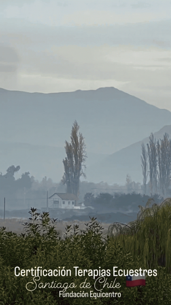 Secuencia de imágenes en formato GIF del primer día de la certificación de terapias ecuestres en Fundo Talanquén, Colina, dictada por el Dr. Alejandro Vela de Tequendama en mayo de 2024.