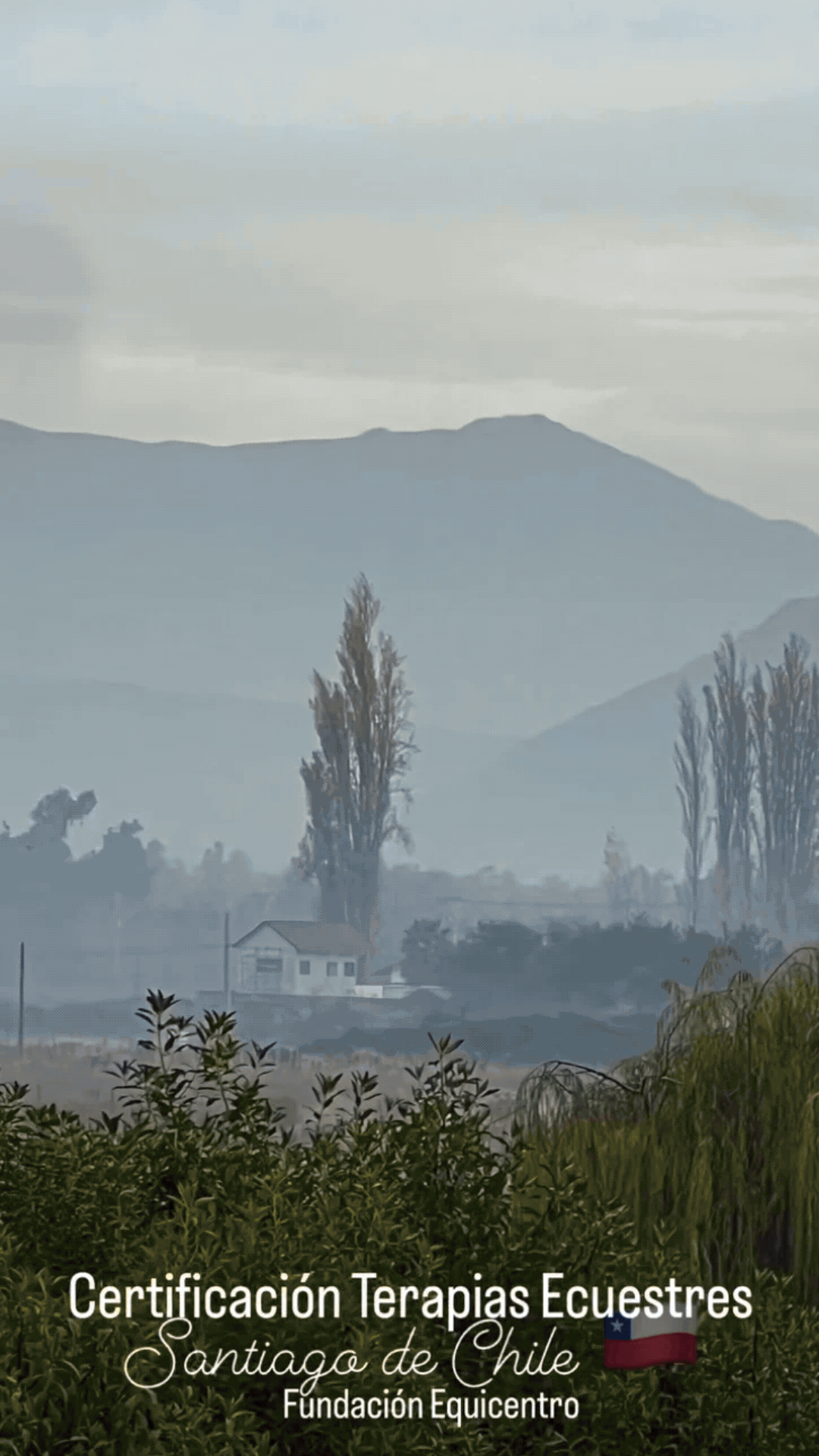 Secuencia de imágenes en formato GIF del primer día de la certificación de terapias ecuestres en Fundo Talanquén, Colina, dictada por el Dr. Alejandro Vela de Tequendama en mayo de 2024.