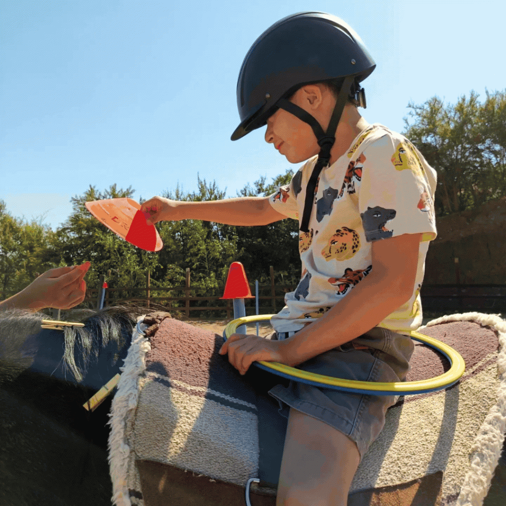 Secuencia de imágenes en movimiento que muestra a diversos niños y usuarios adultos realizando ejercicios terapéuticos y de estimulación sobre caballos en Equicentro Colina durante abril de 2024.