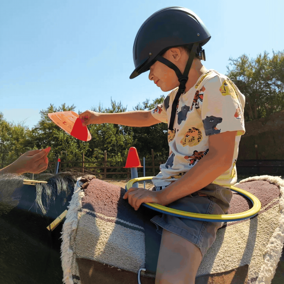 Secuencia de imágenes en movimiento que muestra a diversos niños y usuarios adultos realizando ejercicios terapéuticos y de estimulación sobre caballos en Equicentro Colina durante abril de 2024.