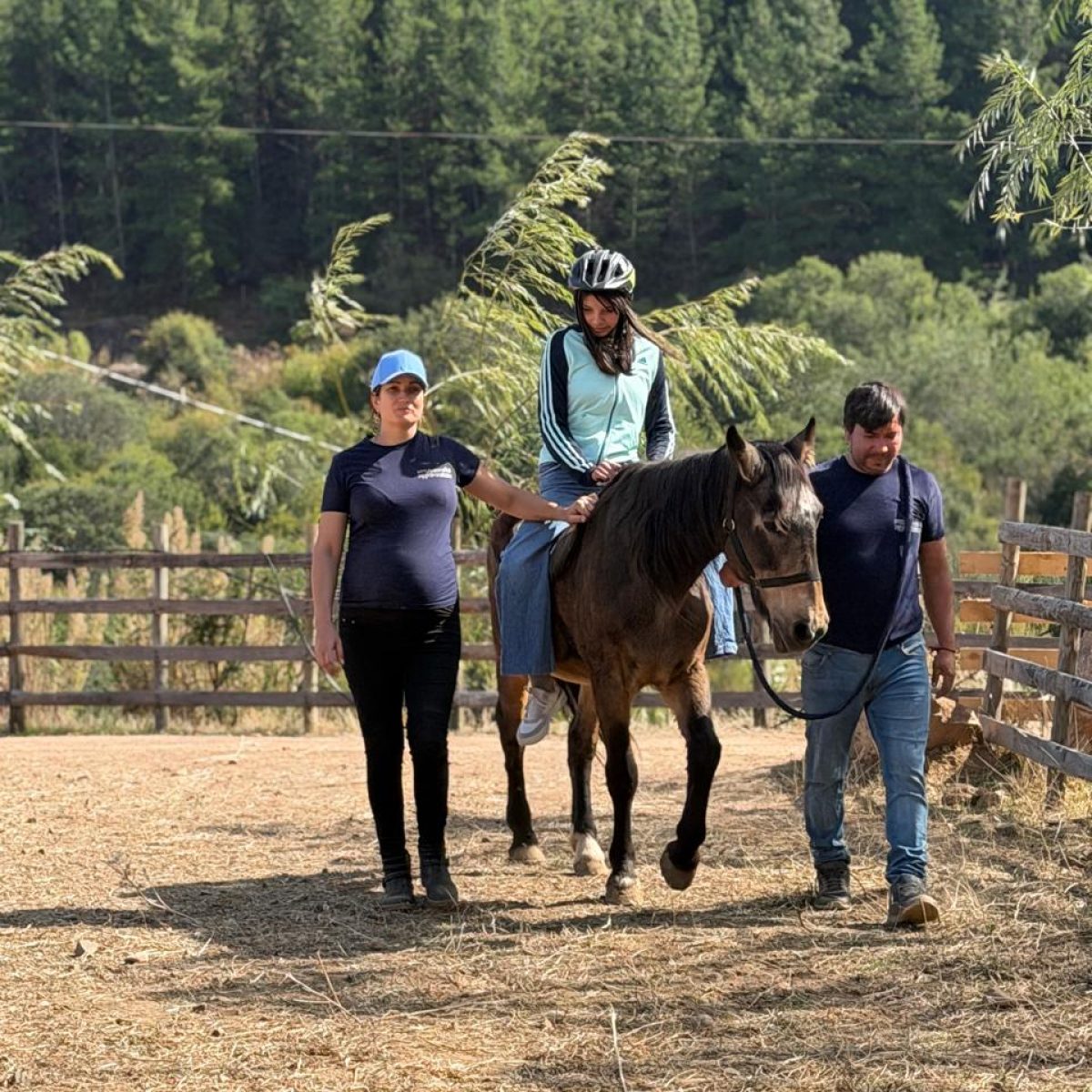 Un niño sonriendo mientras acaricia la frente de un caballo de terapia en la pista de Fundación Equicentro, con voluntarios apoyando a los costados bajo el sol del Maule.